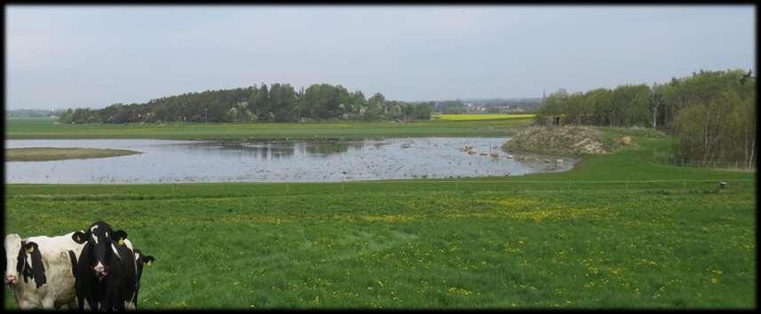 Biodiversitet Forskning