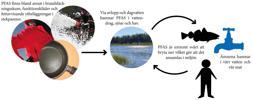 PFAS detekteras i ytvatten över hela Sverige, men halterna är generellt mycket låga i områden med enbart atmosfärisk deposition 11.