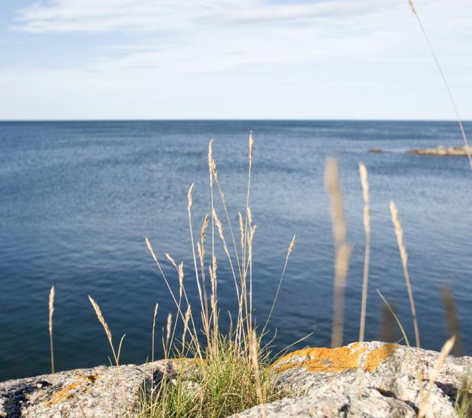 ISKÄLLARELIDENS TRÄFFPUNKT Se Konsten! 31 maj kl. 10.30 Följ med på promenad och låt dig inspireras av stadsdelens guldkorn av skulpturer och konstverk.