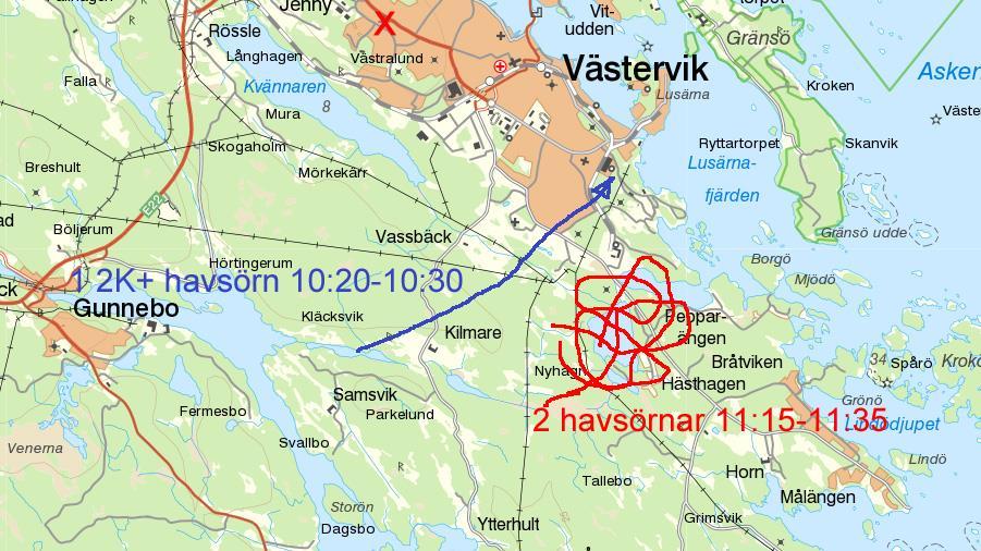 Inventeringstillfälle 4 Vid det fjärde inventeringstillfället, den 25/4, noterades örnar sydöst om den aktuella vägkorridoren.