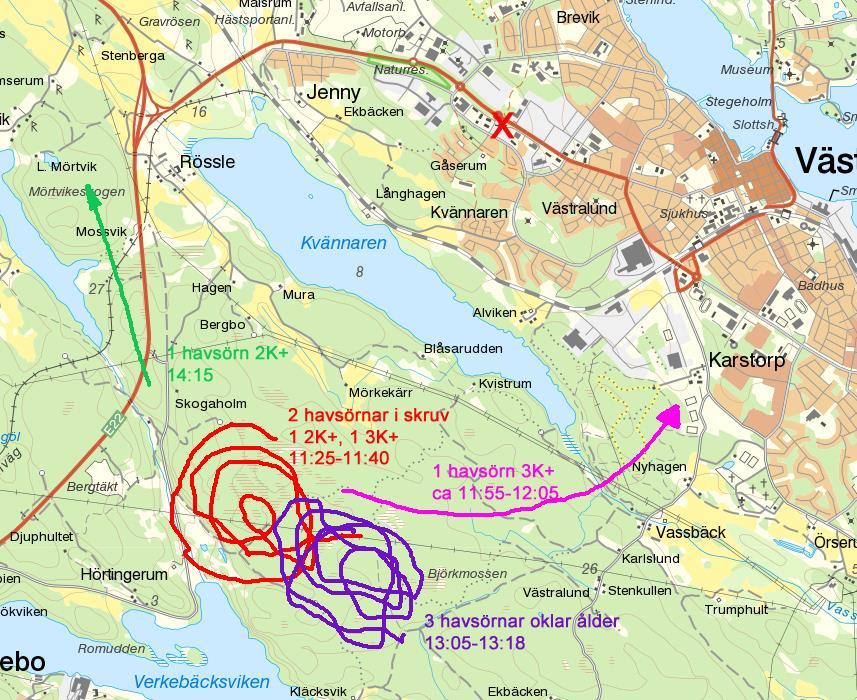 Karta 4. Minst tre, troligen fyra, havsörnar noterades från taket av Nya vattentornet vid inventeringen den 14/2 2017.