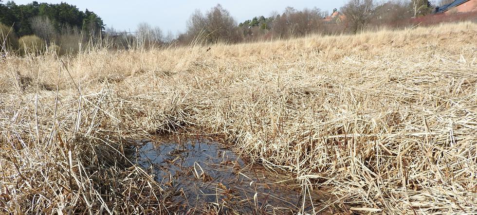 bidrar också stort till