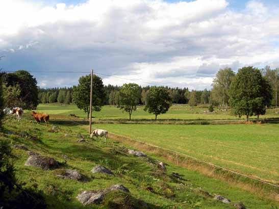 Centralbygden Lång bebyggelsekontinuitet. Rikligt med kyrkor och herrgårdar. Odlingslandskapet karaktäriseras av den höga frekvensen åkermark, med inslag av traditionella fodermarker.