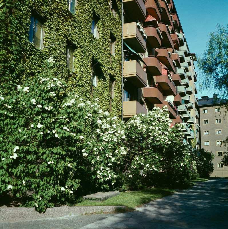 Ordonnansen FÖRUTSÄTTNINGAR OCH ÖVERGRIPANDE KONCEPT GÄRDETS ARKITEKTUR