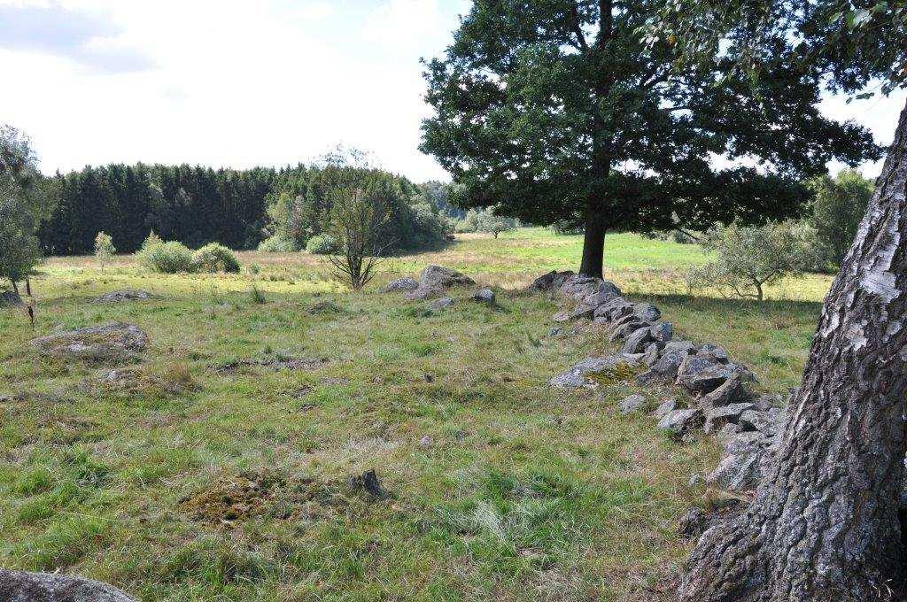 Om Skog & Lantbruk Skog & Lantbruk är ett rådgivningsföretag som arbetar med följande tjänster inom jord och skog: -