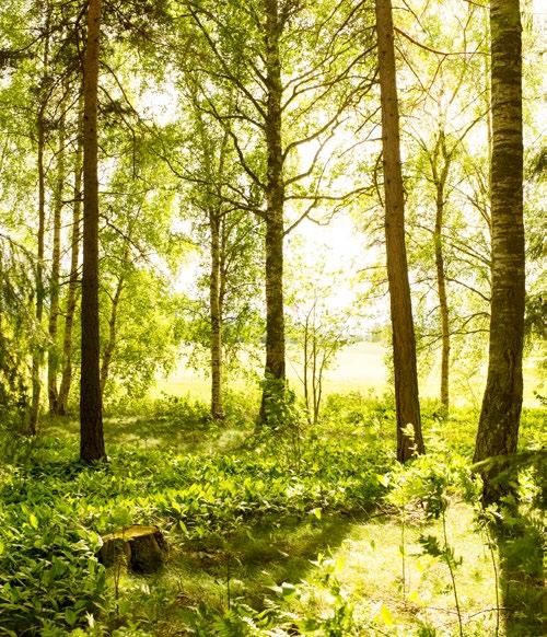 ranne med naturen Det är verkligen grönt och skönt här i Vallastaden med många möjligheter att fylla lungorna med frisk luft. Och ska du iväg, ligger det mesta på cykel- eller gångavstånd.