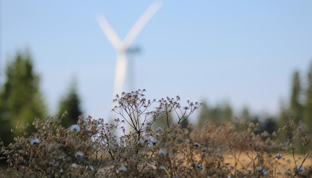 Vindkraft - en lönsam och grön investering Eolus Vinds huvudidé är att projektera och uppföra vindkraftsanläggningar i goda vindlägen. Eolus har genom åren byggt upp en bred och varierad kundbas.