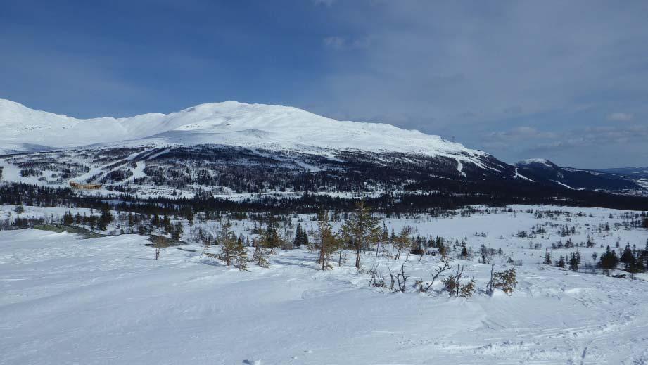 TIDIGARE STÄLLNINGSTAGANDEN Översiktliga planer I översiktsplanen för Åredalen från 1989 anges att platsen för den nya byggnaden ligger inom det alpina skidområdet.