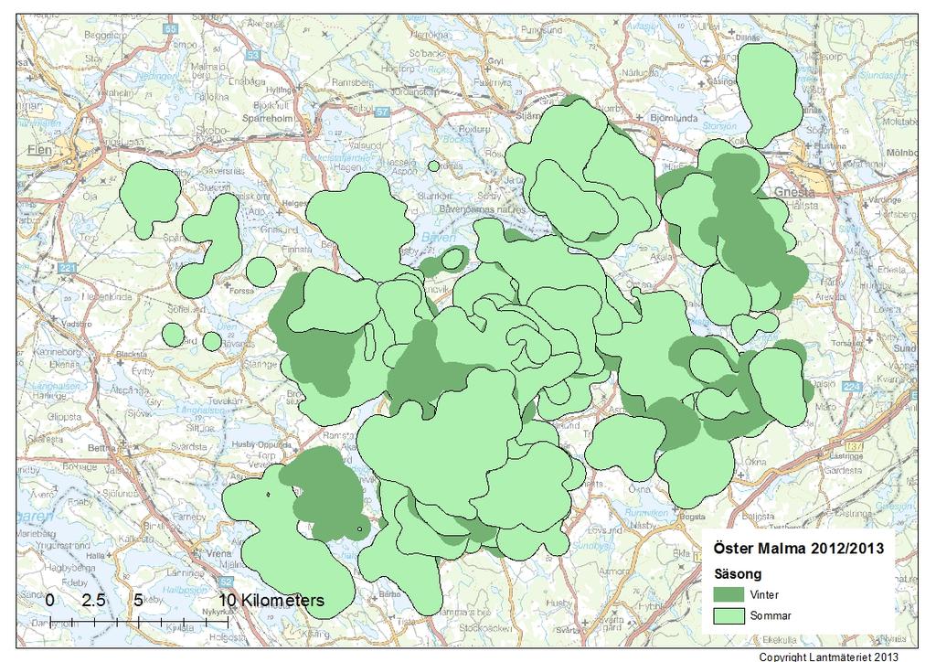 Figur 3. Sommar och vinterhemområden för GPS märkta älgar i Öster Malma området under 2012/2013.