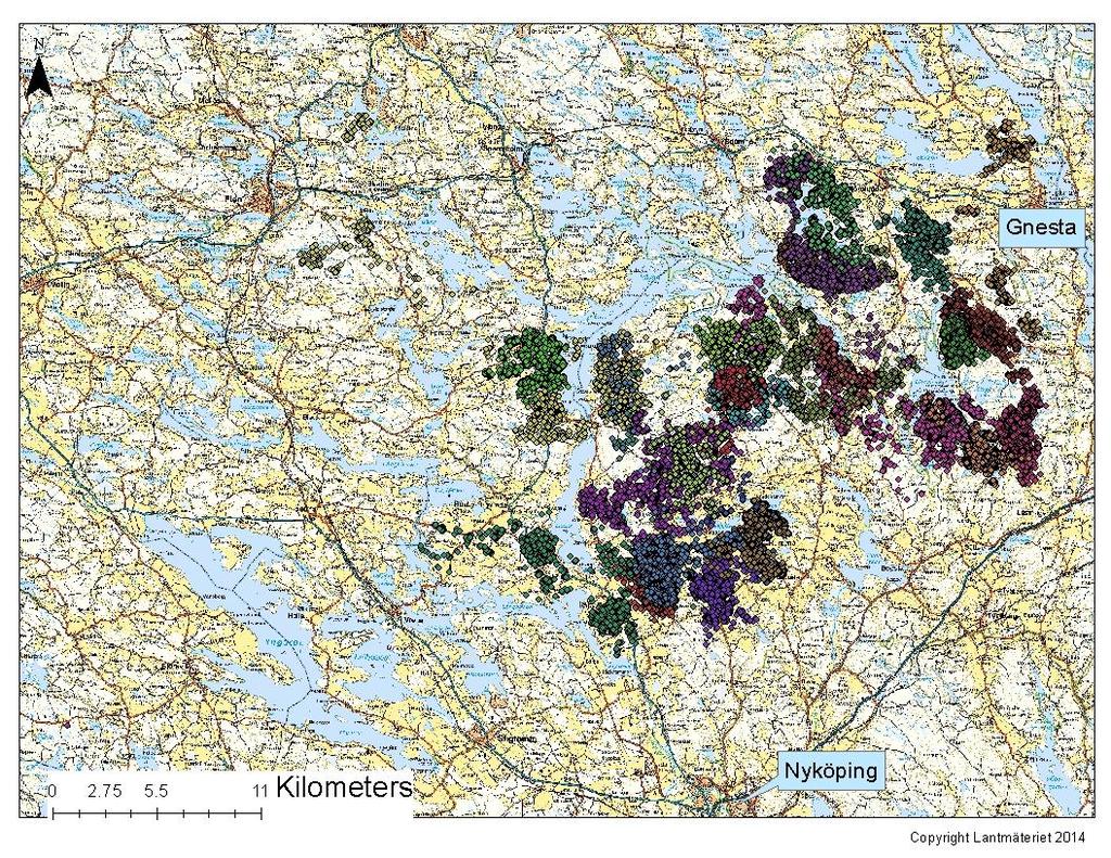 Märkning och vuxenöverlevnad Under perioden mars 2012 - mars 2013 följde vi i Öster Malma området 27 vuxna älgar med GPS/GSM-halsband (Figur 1). Därefter blir det 3:e timmars intervaller.