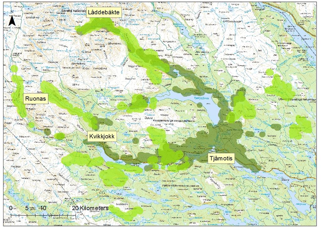 Figur 2. Rumslig fördelning av sommarområden (ljusgröna) och vinterområden (mörkgröna) för GPS-märkta älgar i Tjåmotis i 2014/2015.