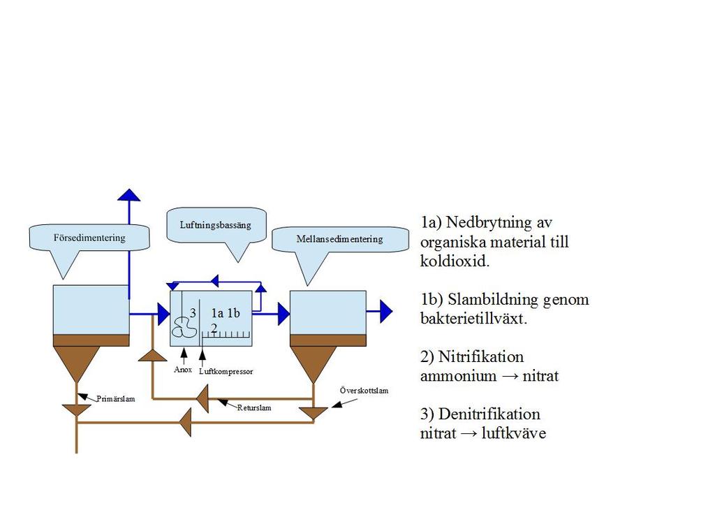 Vattnet flyter sedan över till en bottenluftad bassäng med en luftkompressor (luftnings bassäng) som tillför syre till slammet som sedan flyter vidare till mellansedimenteringen.