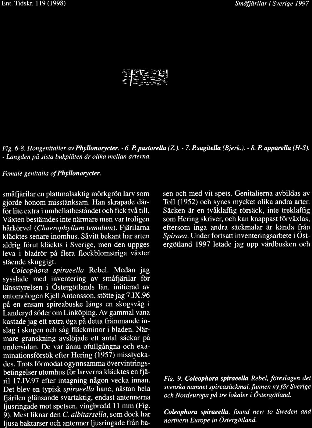 Ent.Tidskr. ll9(1998) Smdfjtirilar i Sverige 1997 'i{=e}_l1 --'l-'- --:;- a l..-=':.)i>: I i Fig. 6-8. Hongenitalier av Phyllonorycter. - 6. P pastorella (2.). - T.P,sagitella (Bjerk.). - 8.