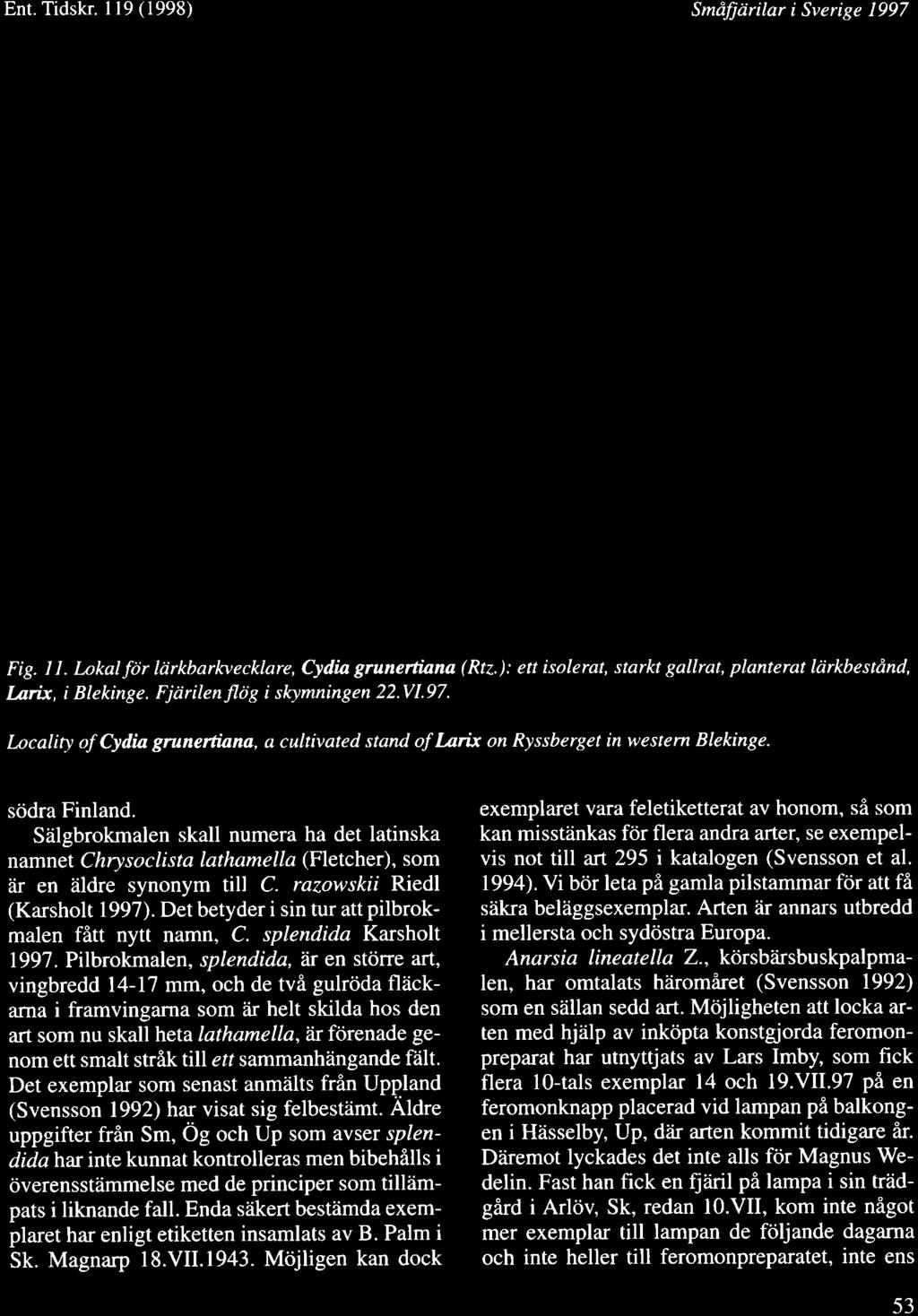 Siilgbrokmalen skall numera ha det latinska namnet Chrysoclista lathamella (Fletcher), som iir en 2ildre synonym till C. razowskii Riedl (Karsholt 1997).