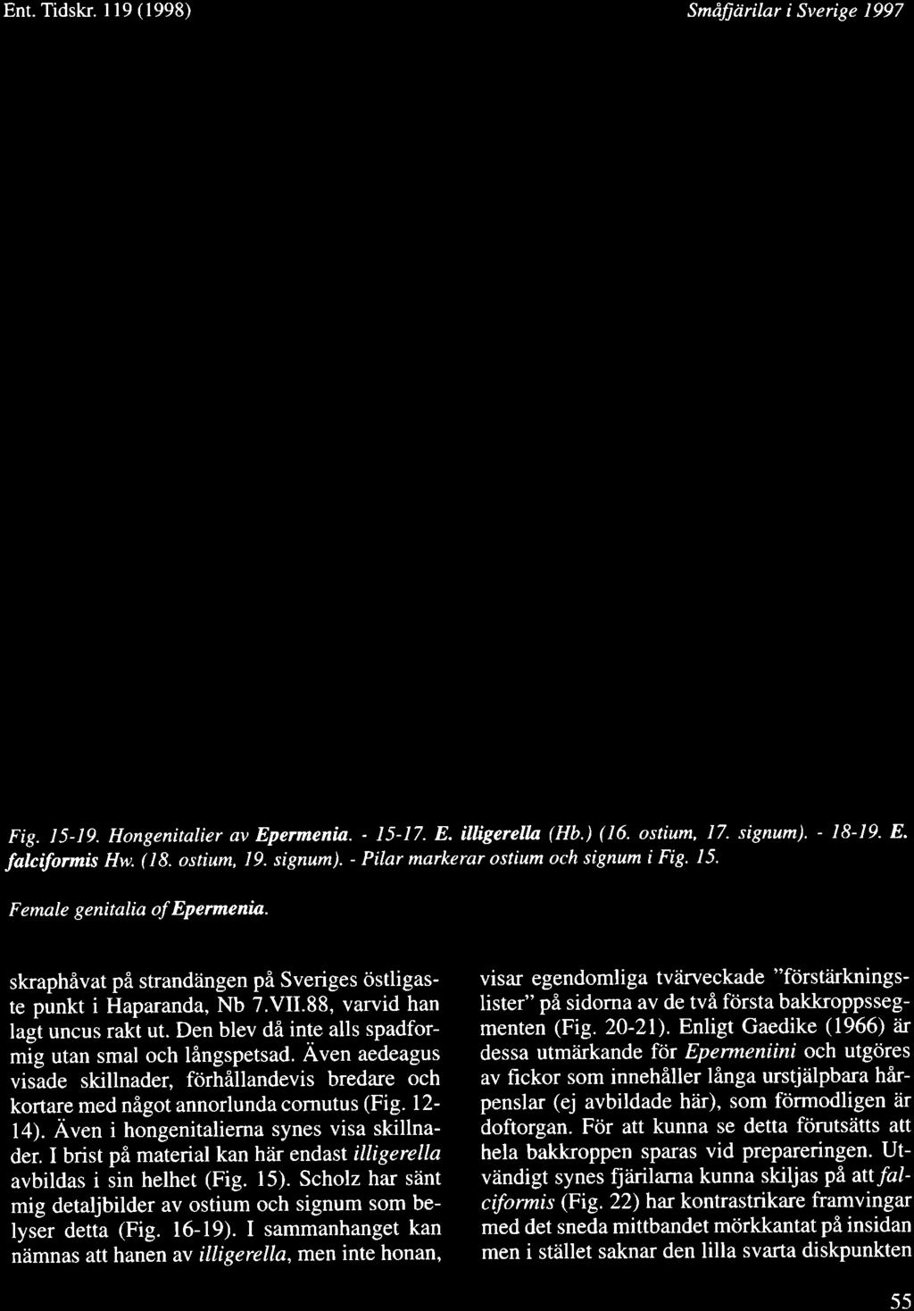 Ent.Tidskr. ll9(1998) Smdfitirilar i Sverige 1997 Y Fig. l5-19. Hongenitalier av Epermenia. - 15-17. E. illigerella (Hb.) (16. ostium, 17. signum). - 18-19. E. falcifurmis Hw. ( 18. ostium, i,9.