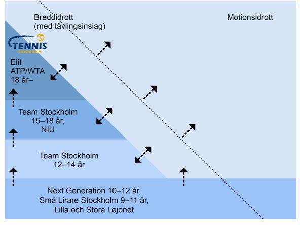 Barn och ungdom Team Stockholm Under 2016 utvecklades Tennis Stockholms barn- och ungdomssatsning kraftigt. Barn- och ungdomssatsningen är inriktad på spelare från 10 år och uppåt.