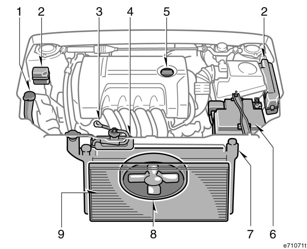 ARBETEN DU KAN GÖRA SJÄLV: Inledning 303 2ZZ GE motor 1. Behållare för spolarvätska till vindruta, bakruta och strålkastare 2. Säkringsboxar 3.