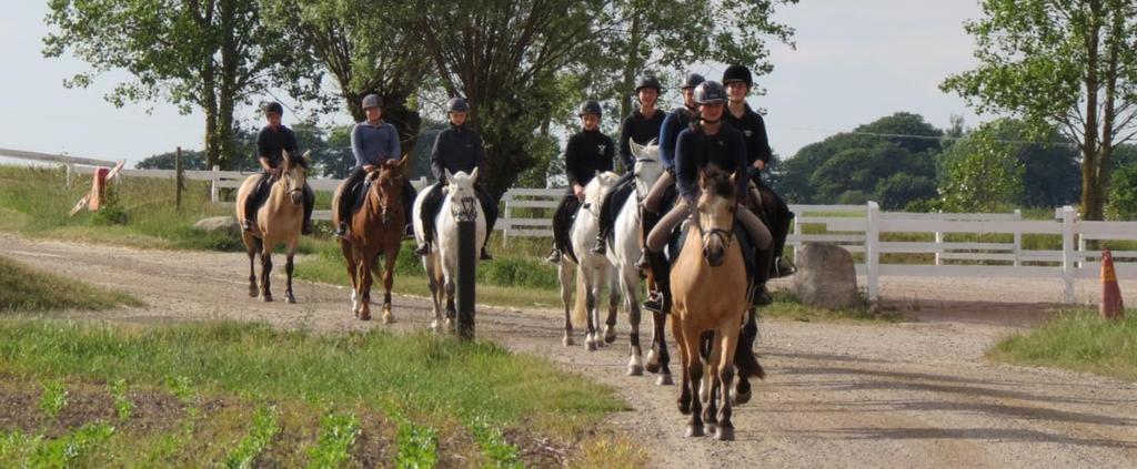 Du rider för Lotta i små grupper, dressyr varvat med markarbete samt hoppning för de som önskar. God mat och allt lite extra!