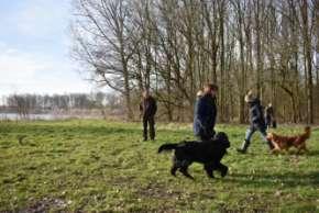 starting point. The purpose of this exercise is that the dog will follow the handler, without pulling the leash or running away without it.