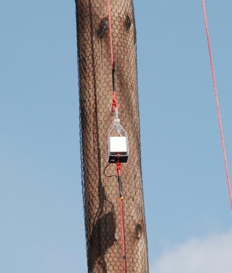 Figur 5. Till vänster mätning av E-fält längs ett stolpben och till höger mätprob med optisk fiber för datakommunikation och isolerade rep för positionering av proben längs stolpbenet.