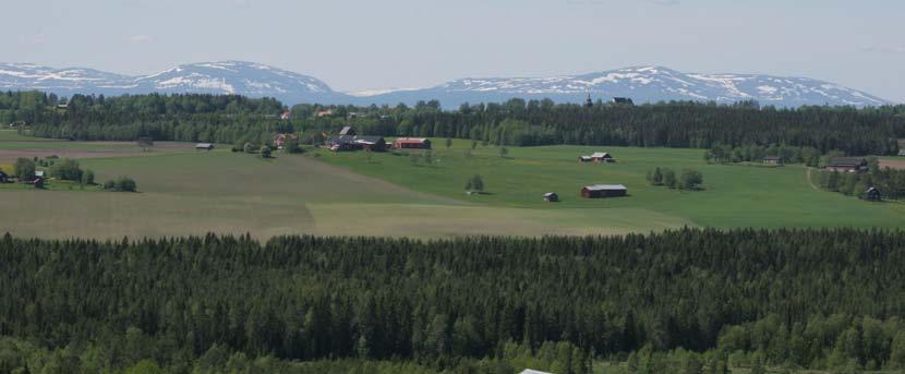 Kulturmiljö Kulturmiljön är i princip hela den miljö som formats av oss människor genom tiderna. Det kan vara allt från en enskild plats eller byggnad till hela landskap.