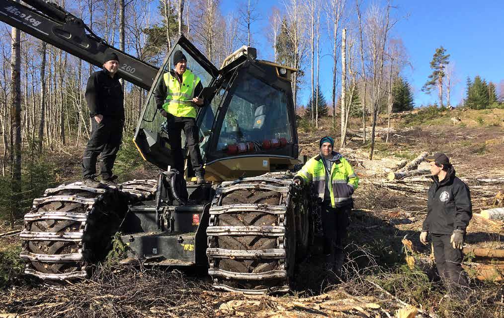 Tjänster Utbildning Nära Tällbergsporten pågår en slutavverkning av Ollas skogsentreprenad, några av de som satsat på den nya tjänsten för att öka virkets värde.