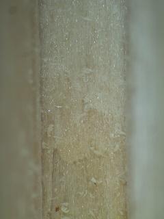 Figur 60. X15.