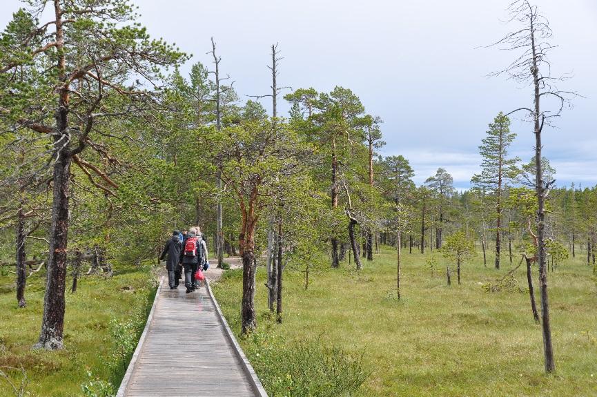 Styrgrupp: Länsstyrelsen Dalarna Fylkesmannen i Hedmark