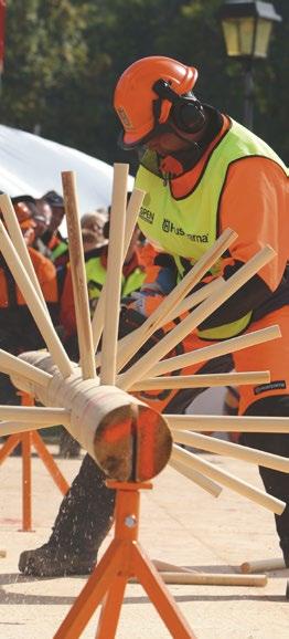 tävla i World Logging Championship. Fem olika grenar var representerade: trädfällning, kedjebyte, kombikap, precisionskap och kvistning.