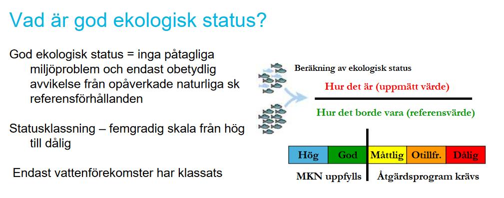 Ekologisk status Bremendomen, ett exempel på att rättsläget förändras Enskilt va eller allmänt? Frågan är om denna skyldighet inträder när det är möjligt att ordna med enskilt avlopp?