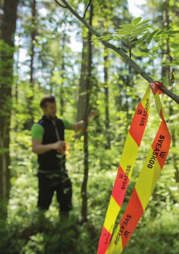 Vår vision: Vi ska vara det ledande skogsföretaget Det innebär att Vi är det mest lönsamma skogsföretaget på kort och lång sikt Vi är förstahandsvalet för affärspartners och medarbetare Vi leder