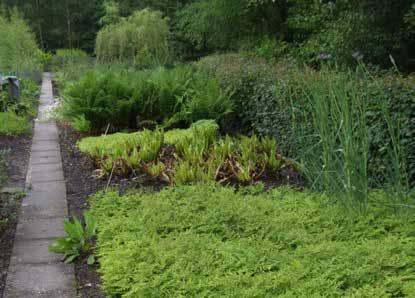 Parkerna uppstod som en reaktion på att alltmer av Hollands yta upptogs av odlingsmark och att den inhemska floran successivt försvann. Thijsse-park (bilden t.v.) var en av de fösta som började anläggas 1940.