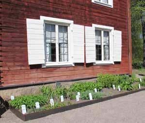 Figur 3. De så kallade mullbänkarna utanför bostadshuset på Linnés Hammarby är rekonstruerade efter Linnés egna beskrivningar.