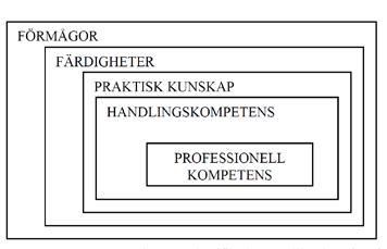 praxis menar jag de regler och värderingar som är förankrade inom en yrkesgrupp.