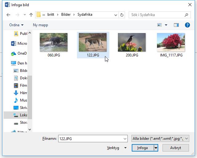 Tänk på upphovsrätt när du använder bilder som du inte har fotograferat själv! 1. Menyfliken Infoga 2. Klicka på knappen Onlinebilder 3.