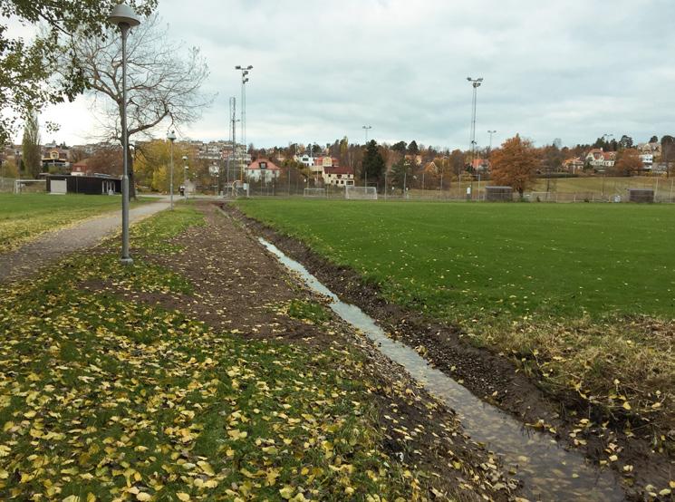 Nya Meddelanden från Högberga-Breviks villaägareförening. Hösten 2016. Årgång 53.