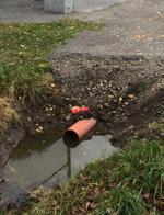 Lägg undan på en tallrik. 2. Hetta upp en tjockbottnad gryta och fräs sidfläsket gyllene. Lägg i köttet och krydda med svartpeppar.
