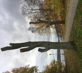 Och det är det långsiktiga tänkandet, det envetna nötandet som ger resultat. Trägen vinner till slut.