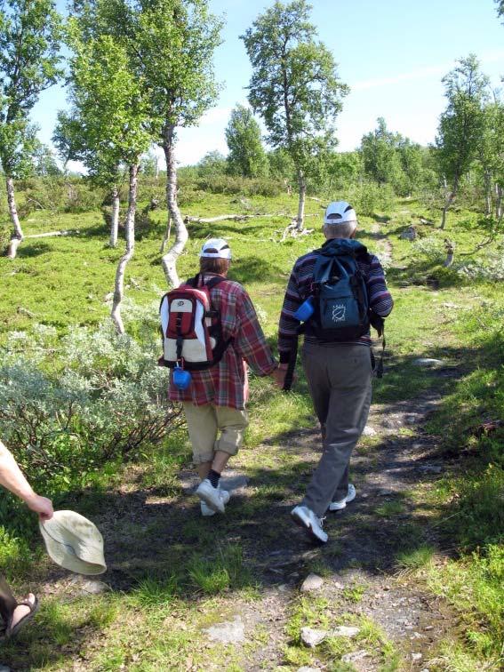 Klimatanpassning