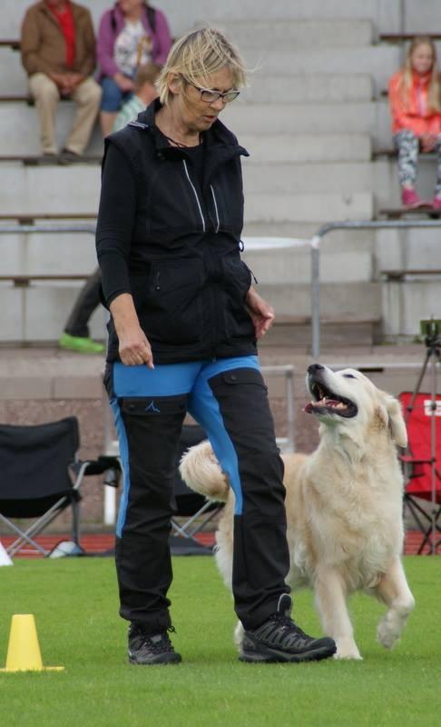 Tack till Maria Ekström och Tiina Salohalla som kommit med nya trix och aktiveringar hela året. Under 7-10/7-2016 var ett flertal medlemmar på sommarläger i Eskilstuna och Stenkvista Vandrarhem.