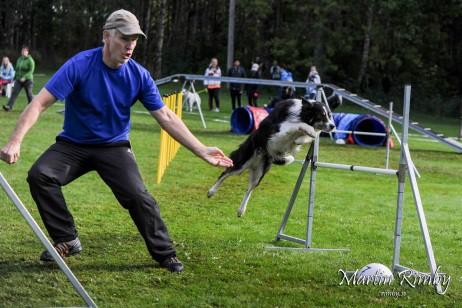 Agilitykommittén: Inga aktiviteter under året Per Heinerud var en del av det lag som under året vann GULD på årets SM i Agility. Stort grattis från alla oss i klubben!