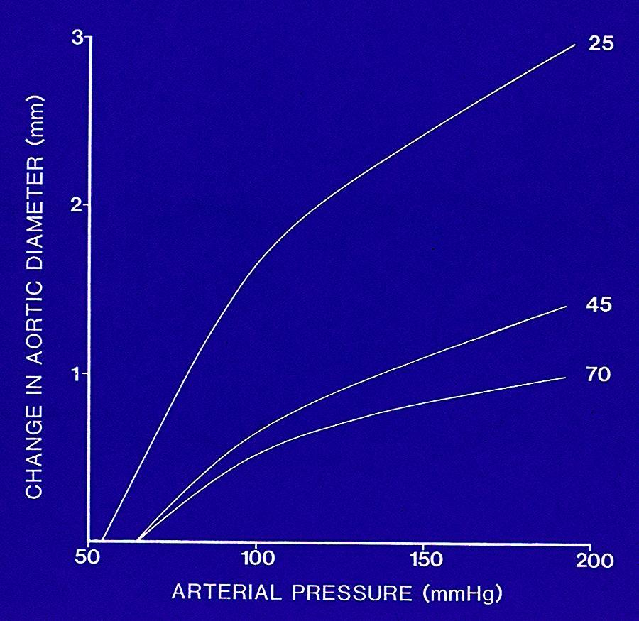 Infrarenala aorta