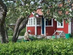 Skarpnäcks koloniträdgårdsförening Första kolonisterna- 1936.