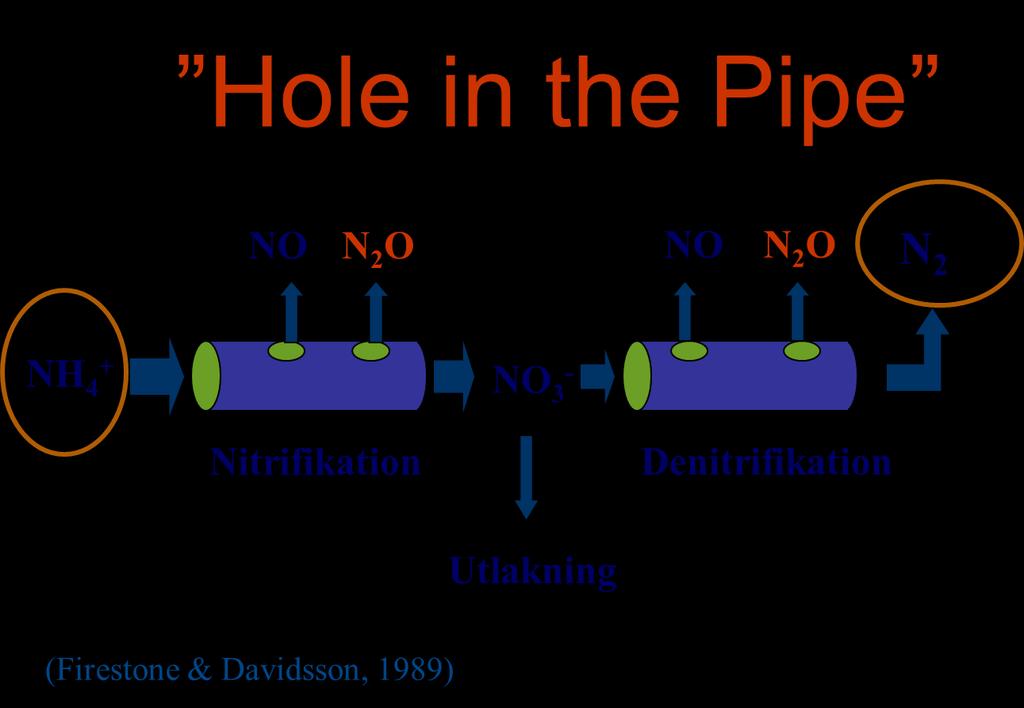 IPCC Physical Science Basis, AR4 chapter 2 - The primary driver for the industrial era increase of N