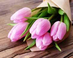 1 pris: Blomstercheck för 100 kronor + en