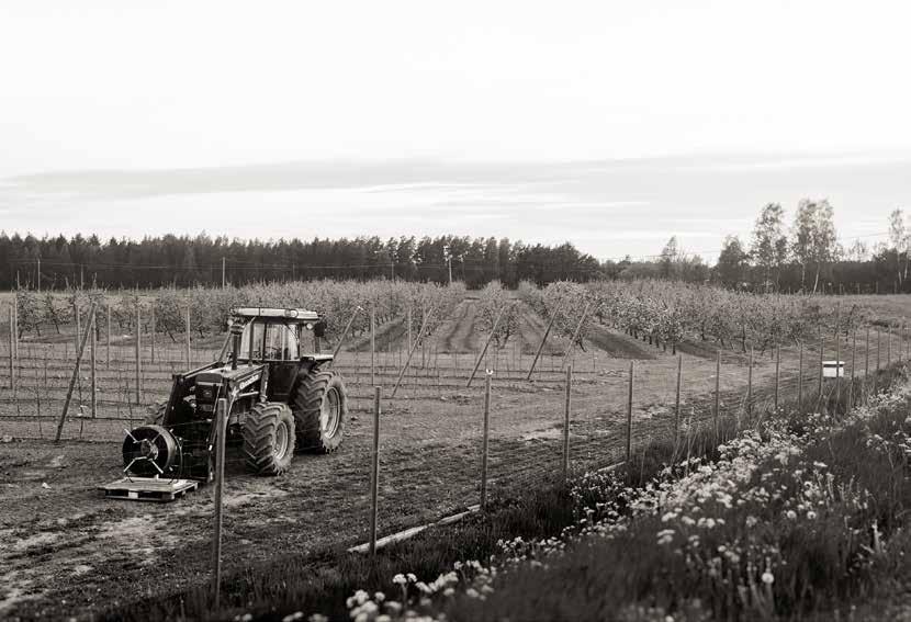 Tomtfonden i korthet Tomtfondens placeringsfilosofi är enkel. Fonden placerar i tomter i Finland. Tomterna hyrs inledningsvis ut till byggbolagen som upprättar bostadsaktiebolag på tomten.