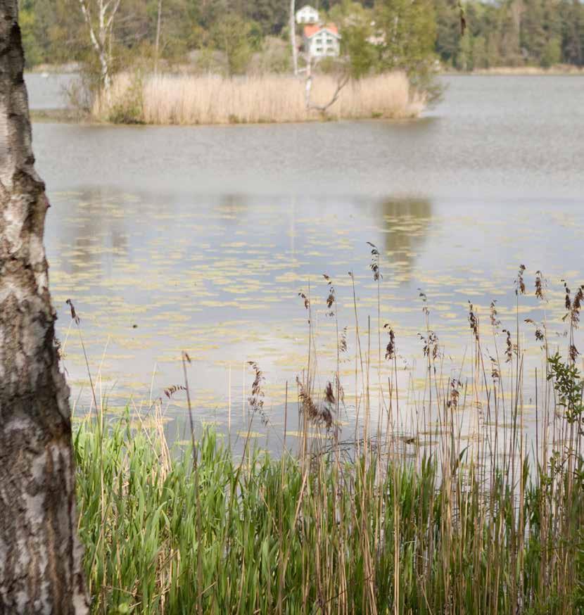 ÄAVÄE Området Din Ikanolägenhet Inredarens val 5 ållbarhet 6 Kvarteret 7