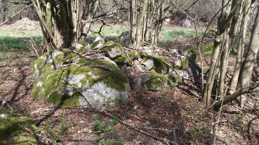 I den östra delen av utredningsområdet var det kraftig växtlighet och skog (figur 5), vilket gjorde att det inte gick att komma