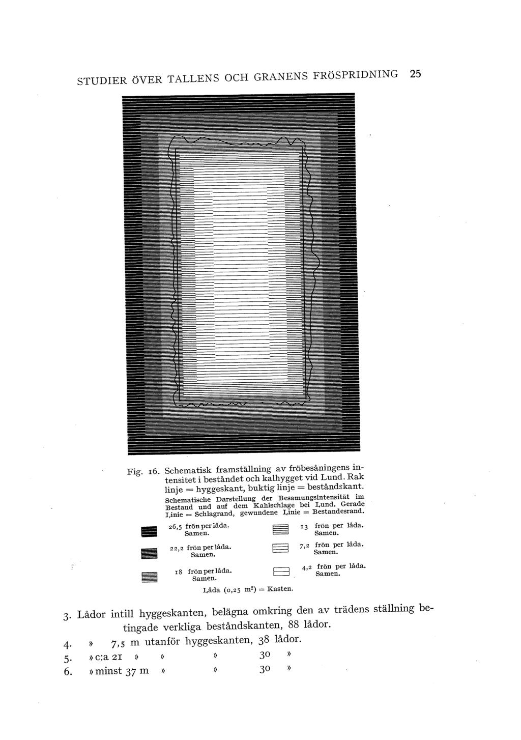 STUDIER över TALLENS OCH GRANENS FRöSPRIDNING 25 Fig. 16. Schematisk framstäning av fröbesåningens intensitet i beståndet och kahygget vid Lund. Rak inje= hyggeskan t, buktig inje= beståndskant.