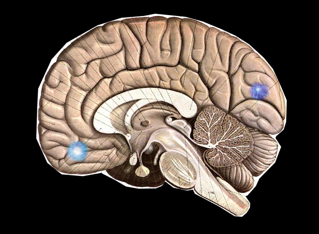 Arbetsminnet Arbetsminnet är egentligen inget minne. Det är snarare en process där ett par, kanske tre saker hålls i luften mellan frontalloben och synminnet, eller ännu vanligare hörselminnet.